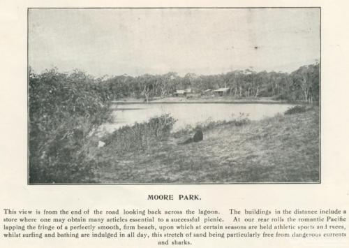 Pictorial of Moore Park lagoon, emphasising its store where you can purchase picnic supplies, and the lack of sharks (click to embiggen)